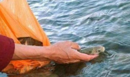 娱乐吃瓜酱英国水葬,娱乐吃瓜酱带你揭秘绿色葬礼风尚