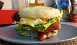 汉堡肉饼爆料视频大全集,视频大全集深度解析