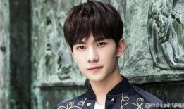 杨洋爆料视频大全集,揭秘明星幕后故事与成长历程