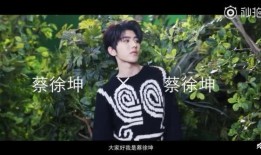 爆料视频蔡徐坤,揭秘背后真相与争议